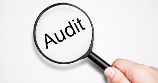 Building a Forensic Accounting Portfolio: Skills That Land Jobs for CAs in India