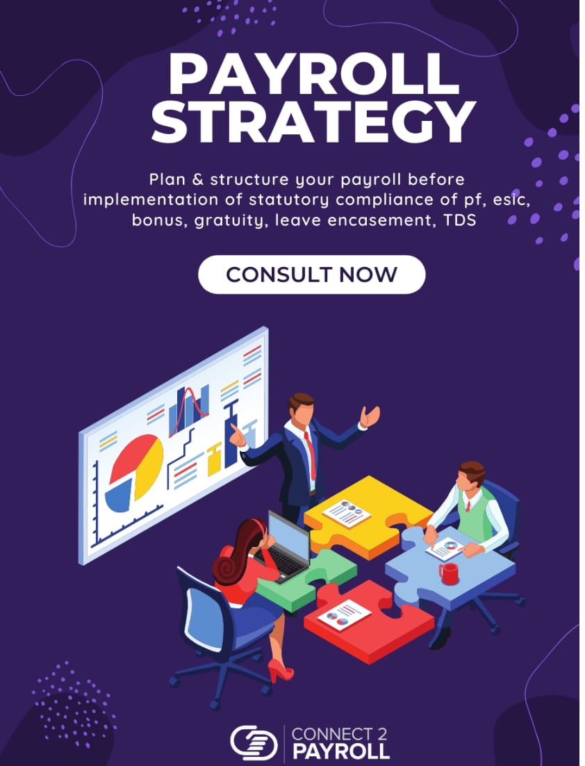 Why You Should Hire a Payroll Management Company Most Effective Business Strategy