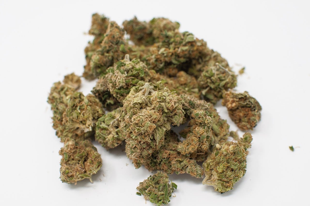 Where Can I Find the Most Affordable Weed Online in Newfoundland and Labrador? 