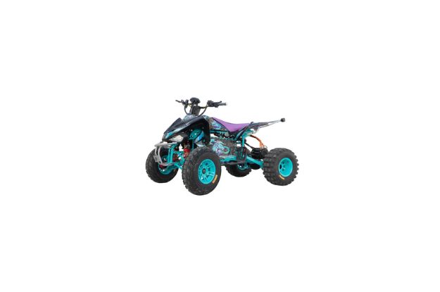 The complete buying guide to quad bikes