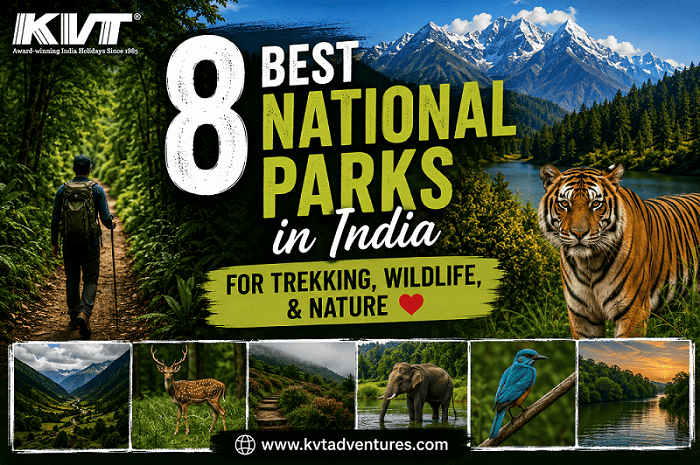 8 Best National Parks in India for Trekking, Wildlife, & Nature Lovers