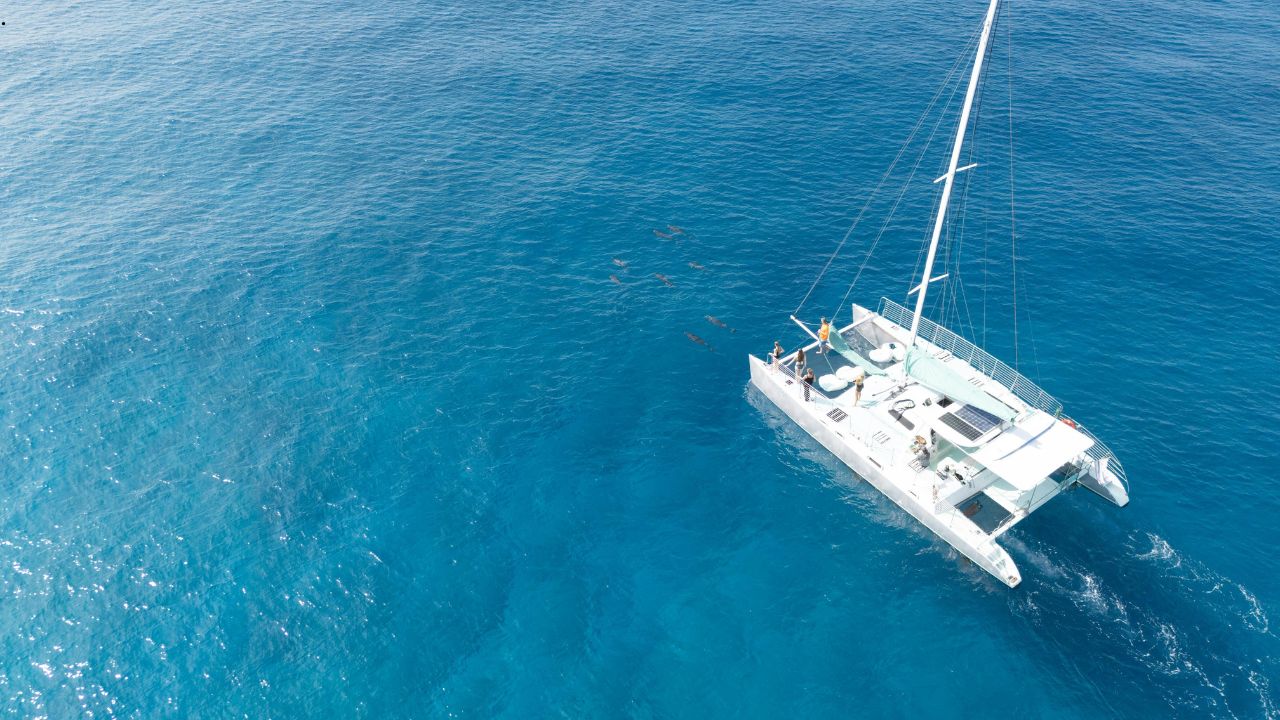 Why Your One Holiday This Summer Should Be a Catamaran Sailing Trip