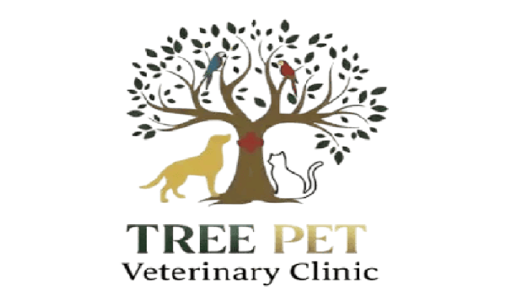 Pet Vaccination in Sharjah: Essential Care for Your Beloved Pets