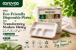 Eco-Friendly Biodegradable Tableware in India – Aaroyaa