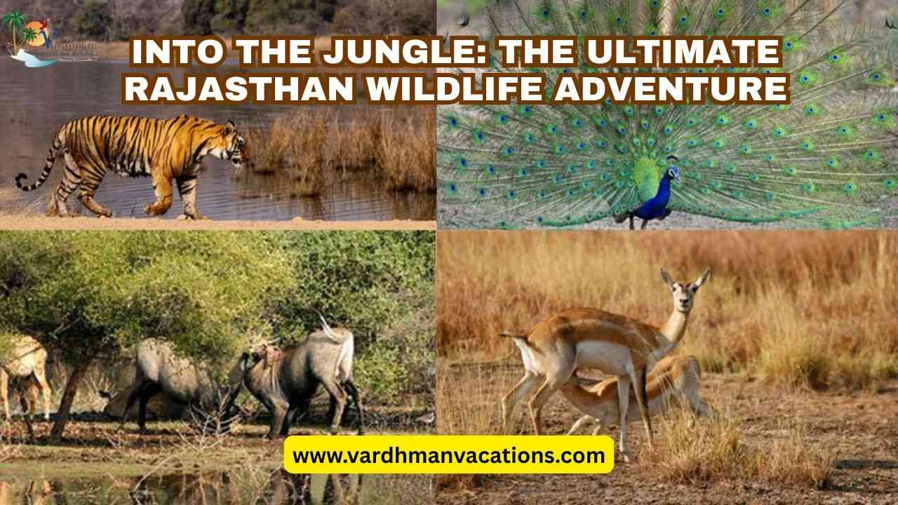 Into the Jungle: The Ultimate Rajasthan Wildlife Adventure