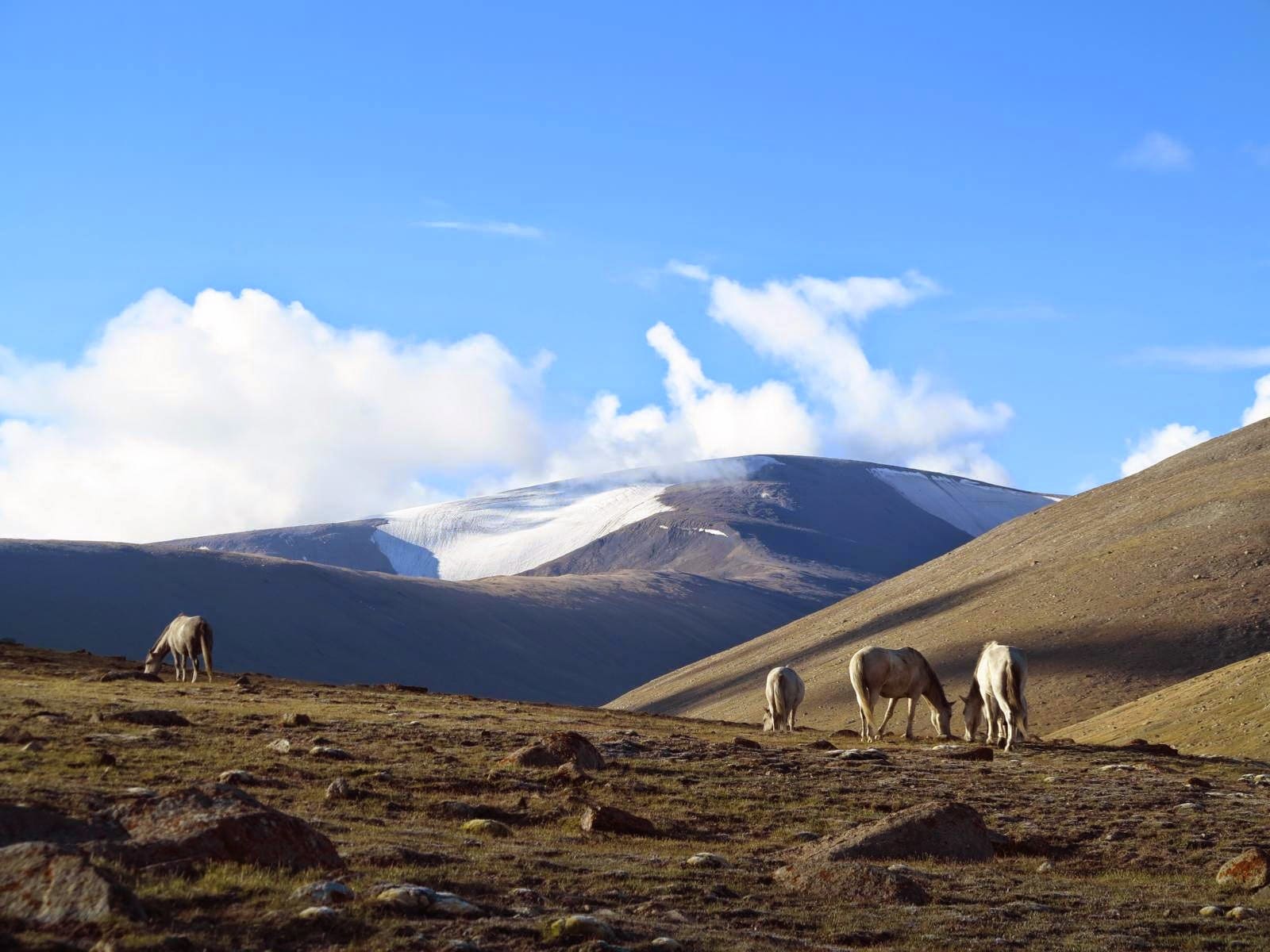 Discover Ladakh’s Hidden Gem- Trekking in Markha Valley