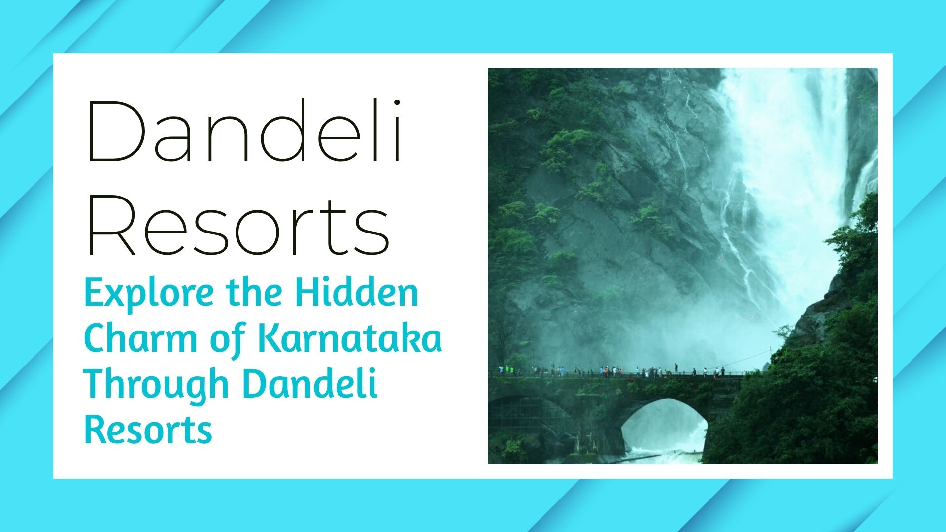 Explore the Hidden Charm of Karnataka Through Dandeli Resorts
