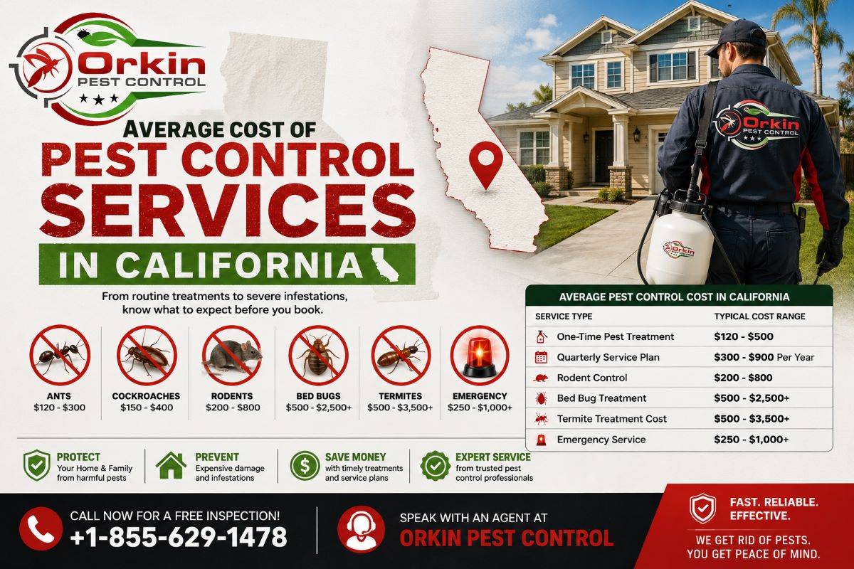 Average Cost of Pest Control Services in California