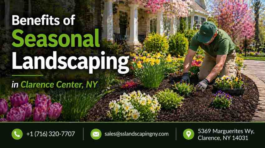 How Seasonal Changes Shape Better Landscape Design