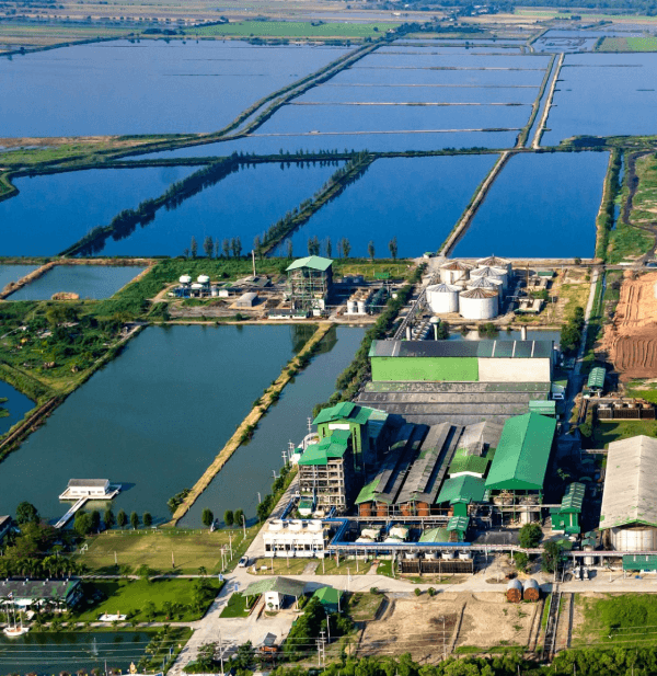 How EPC Companies Ensure Long-Term Efficiency and Performance of Bio-CNG Plants