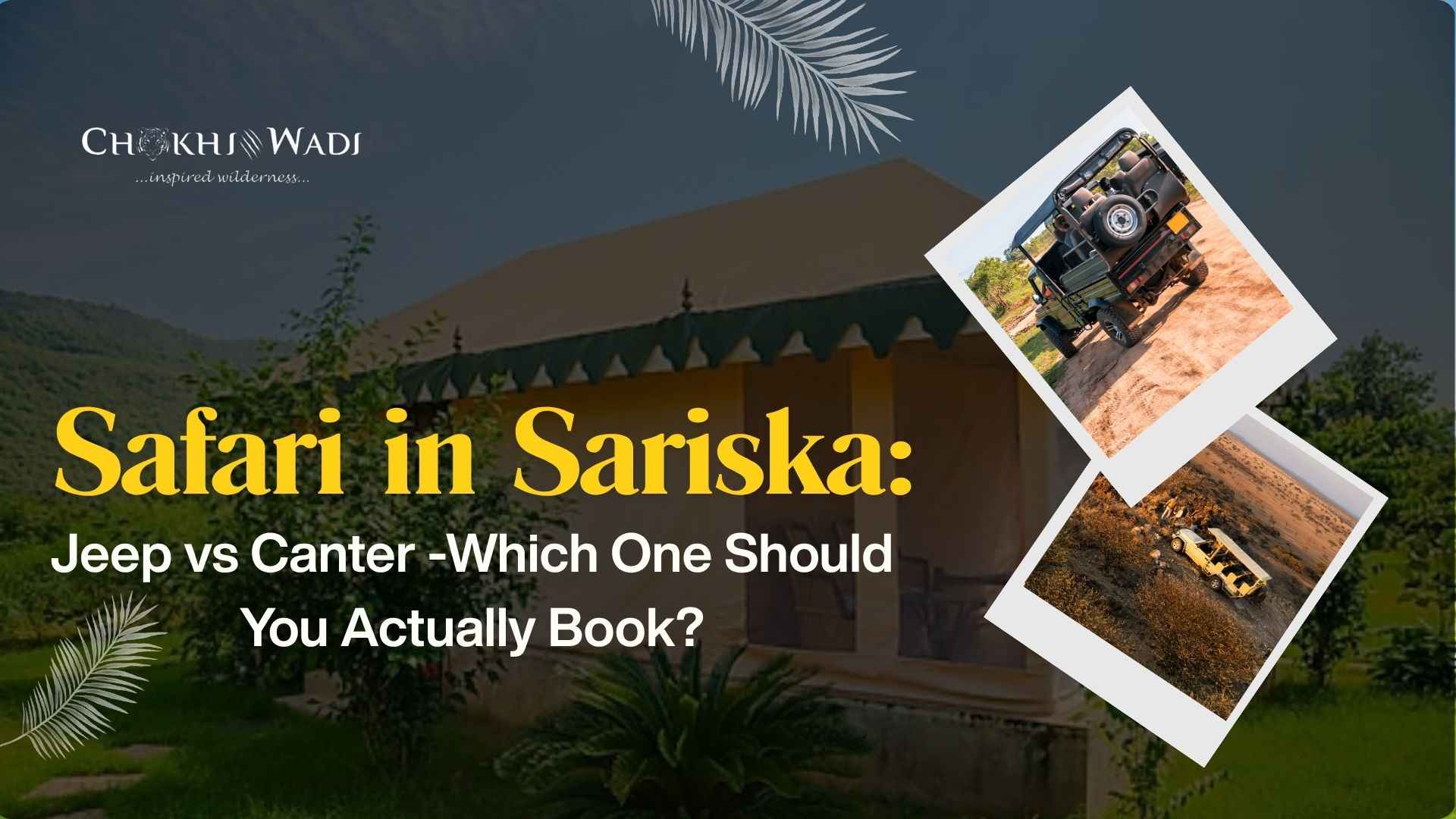 Safari in Sariska: Jeep vs Canter -Which One Should You Really Book?