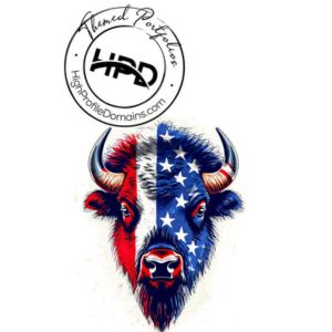 Exploring the Value of Americas Sovereign Domain Collection for Digital Identity and Branding