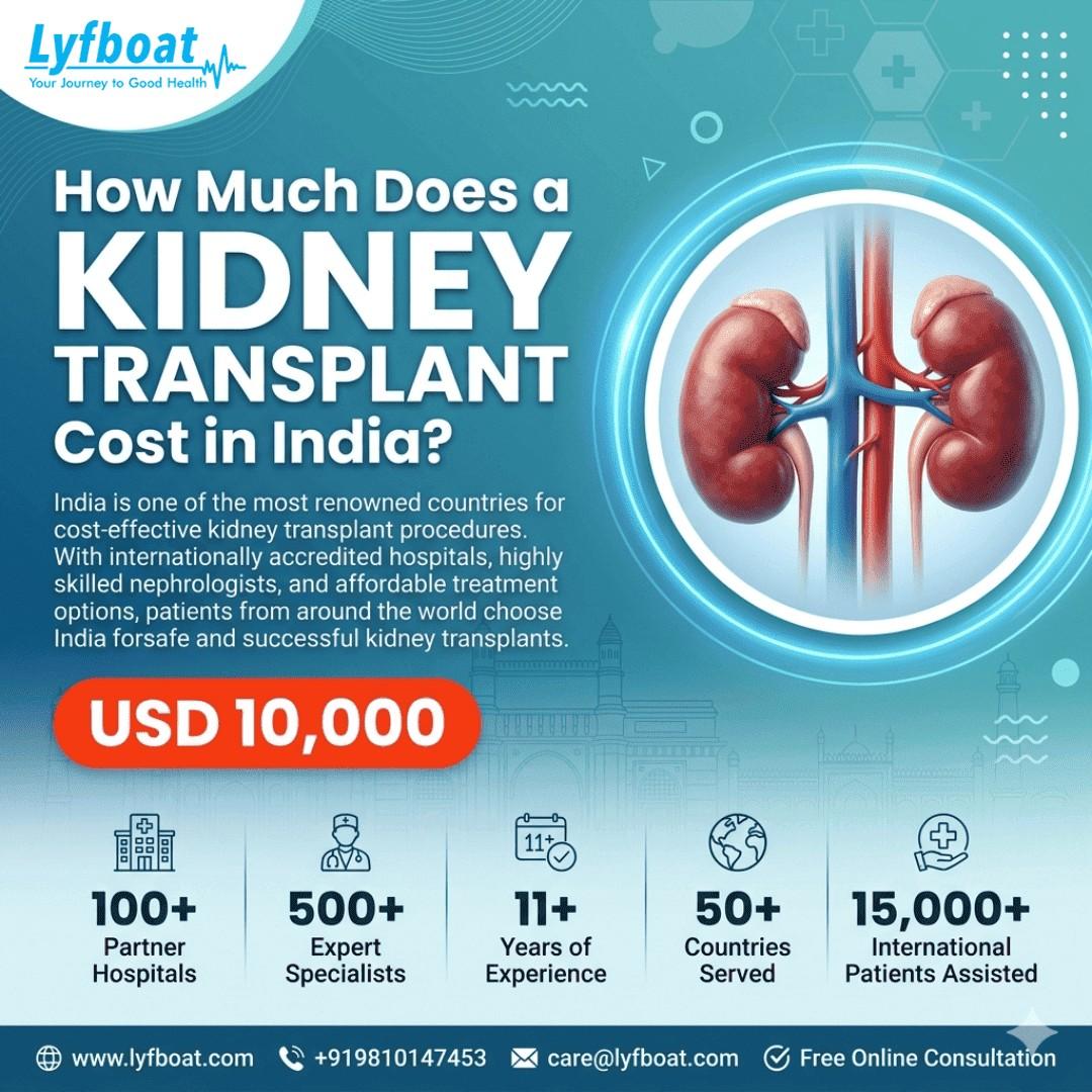 Kidney Transplant Cost in India – Best Cure at Low Cost