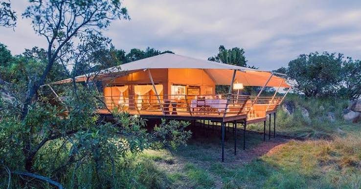 Top Luxury Safari Camps in Central Serengeti for an Unforgettable Wildlife Experience