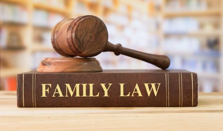 How Does a Family Lawyer in Greater Noida Assist with Legal Family Matters?