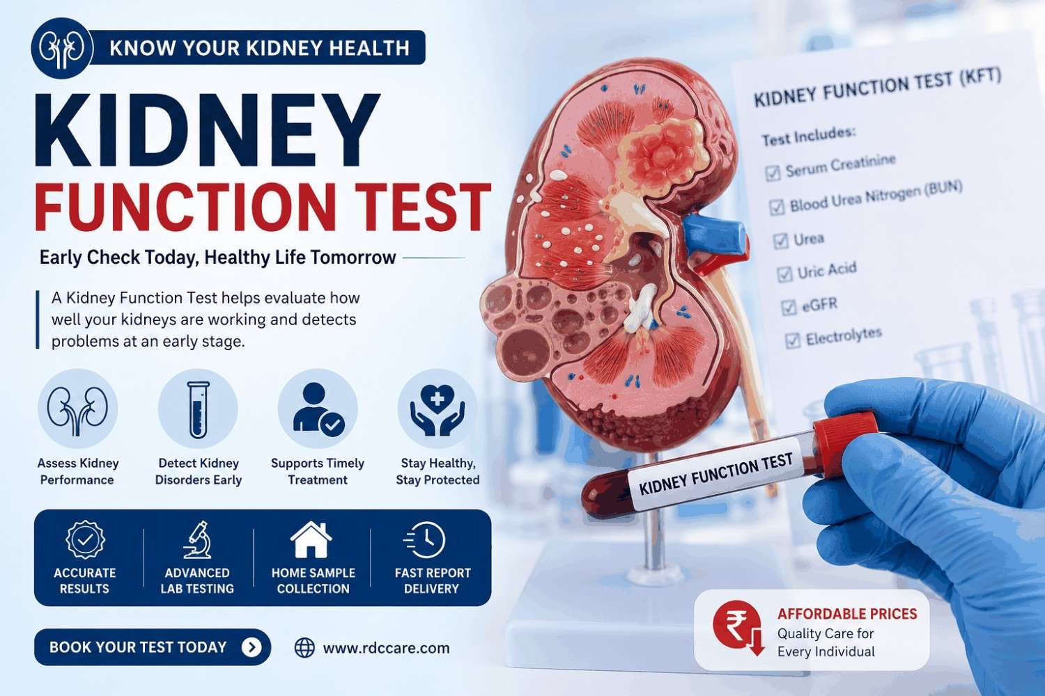 Kidney Function Test in Jaipur: A Complete Guide to Renal Health Screening