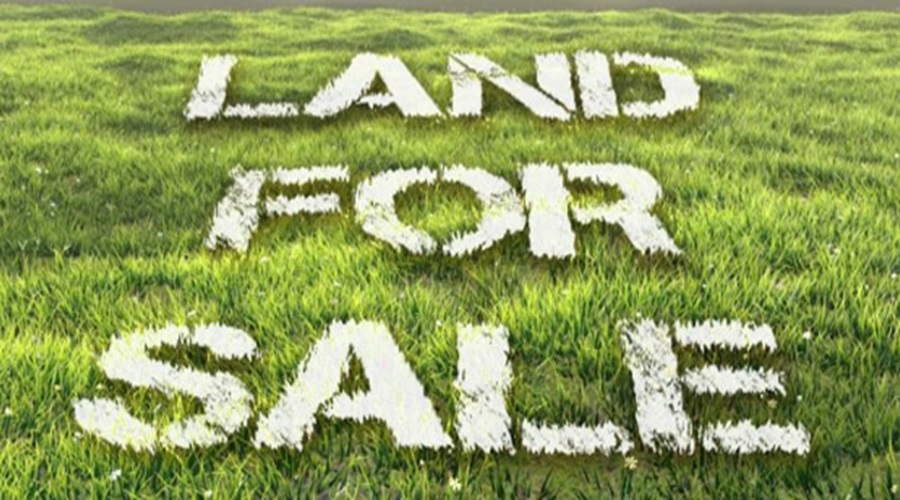 Build Wealth One Plot at a Time with Amaravati Ventures
