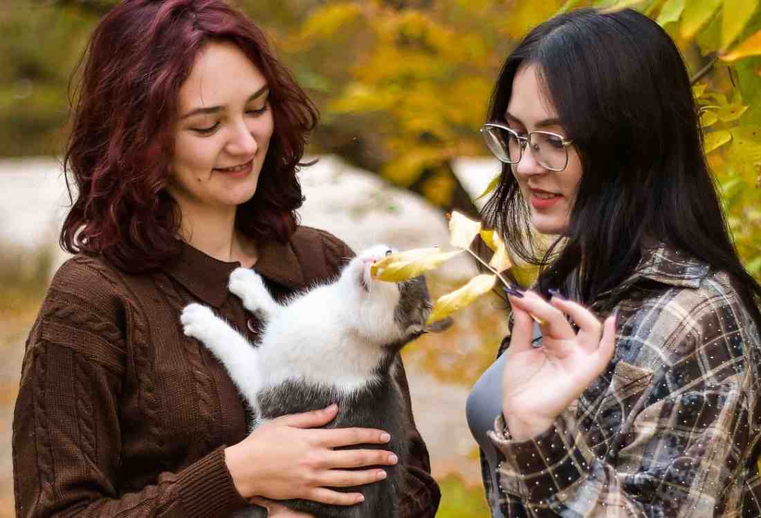 How to Build an Affordable Pet Care Routine in 2026