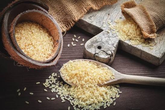 Rice Protein Market Overview: Growth Opportunities, Applications, and Future Industry Development Trends