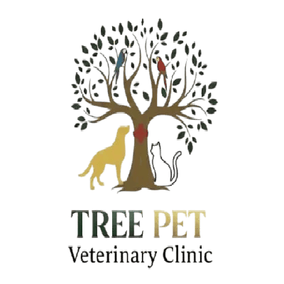 Worried About Leaving Your Pet? Choose Pet Boarding Sharjah