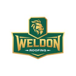 Protect Your Home by Fixing Roof Problems Early