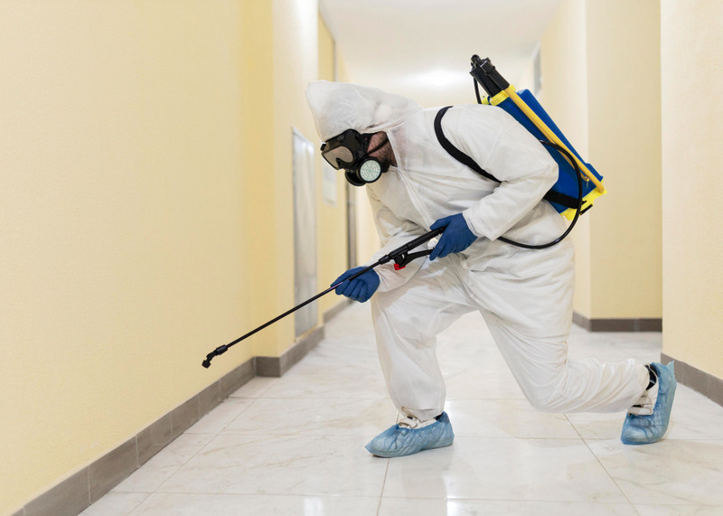 Benefits of Year-Round Pest Control Services for Residential Properties