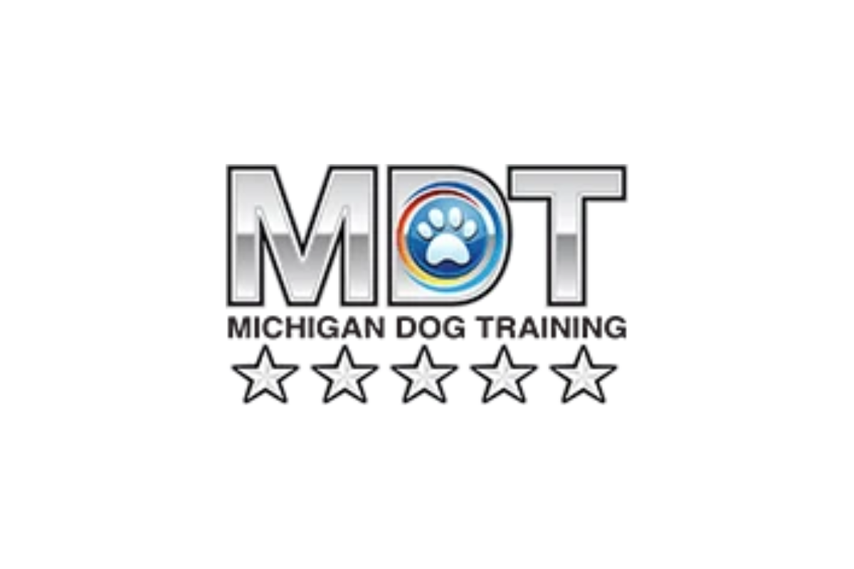 How In-Home Dog Training Helps Dogs Learn in Their Real Environment