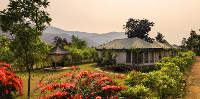 Your Ultimate Guide to Finding the Best Resort in Sariska