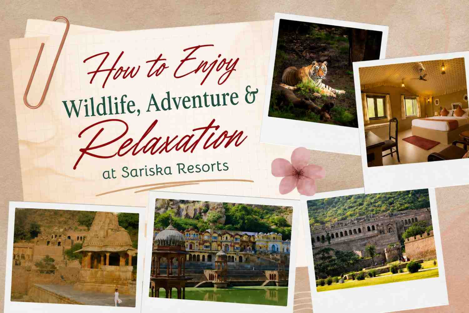 How to Enjoy Wildlife, Adventure & Relaxation at Sariska Resorts