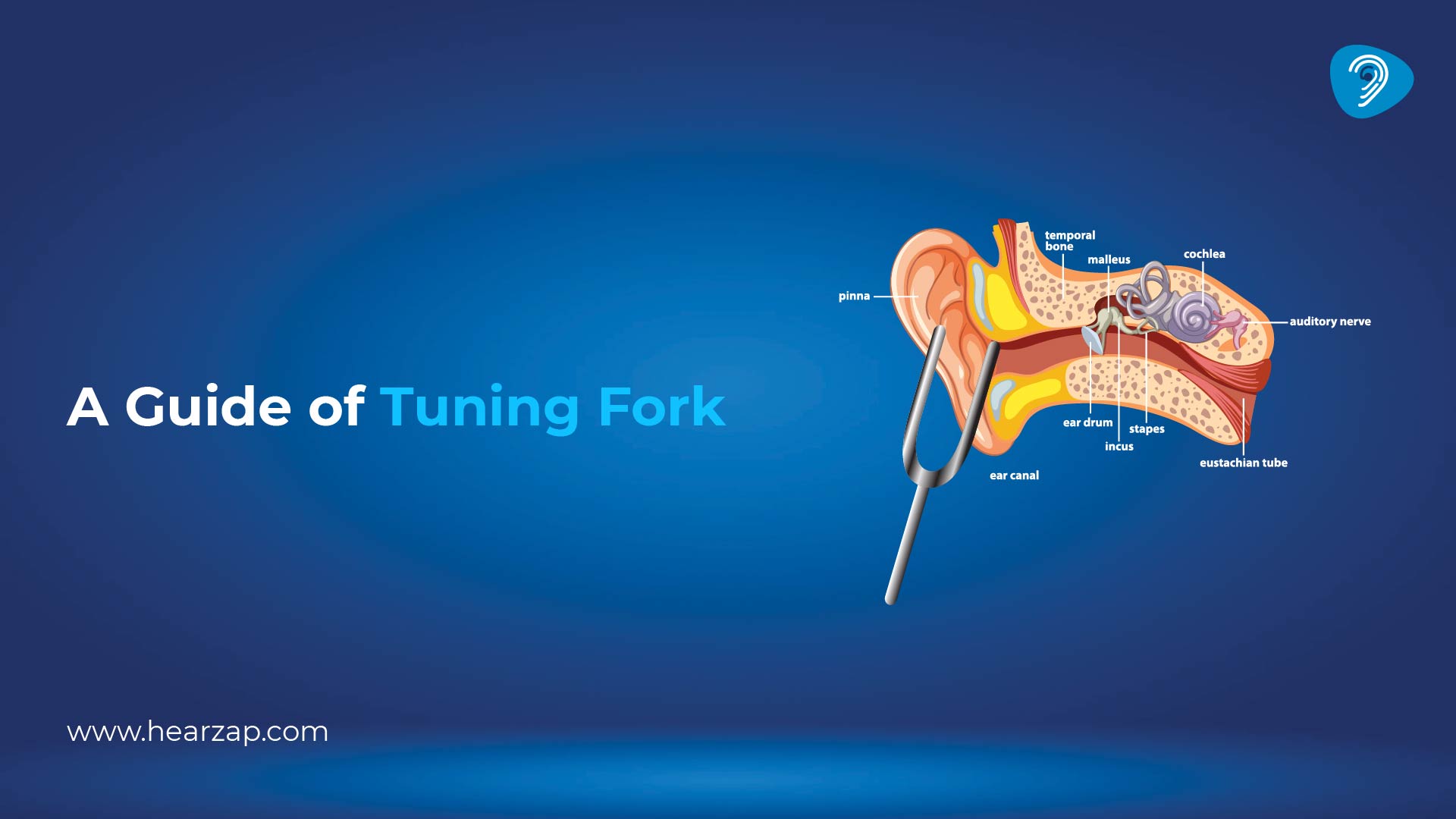 Tuning Fork Tests for Hearing: Types, Procedure, Uses & Limitations