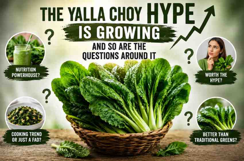 The Yalla Choy Hype Is Growing And So Are the Questions Around It