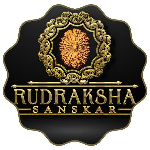 14 Mukhi Rudraksha: Meaning, Benefits, Authenticity, and Complete Buying Guide 