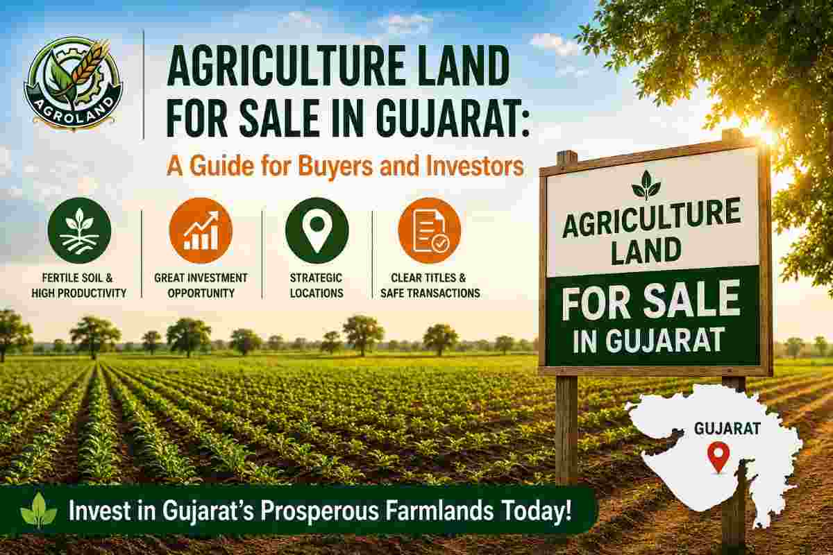 Agriculture Land for Sale in Gujarat: A Guide for Buyers and Investors