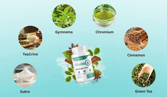Gluco6 Price & Sale 2026 | Buy Now & Get Official Discount