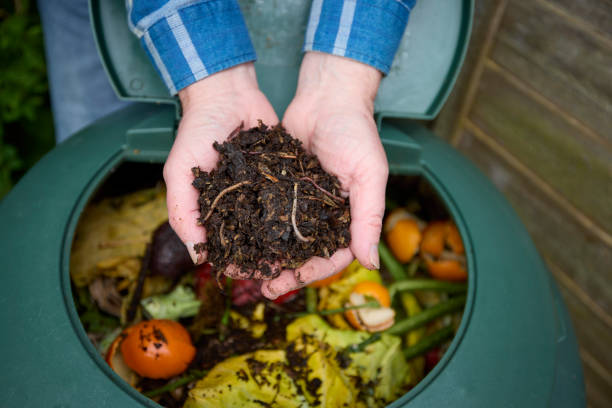 How to Order Worms for Composting: A Beginner's Guide
