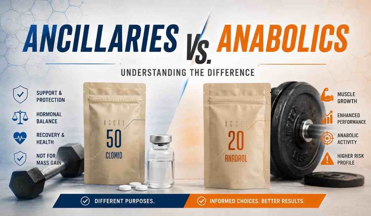 Ancillaries vs. Anabolics: Understanding the Difference