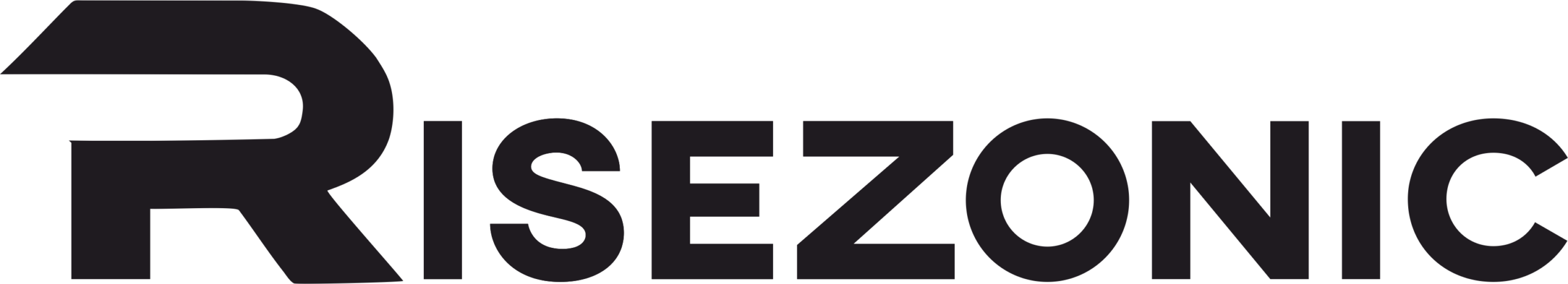 Risezonic digital marketing