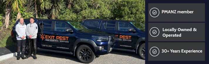 Why Professional Pest Control Is Important for Local Properties