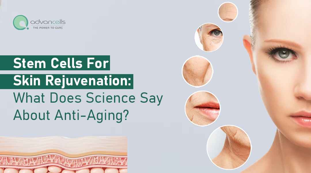 Stem Cells for Skin Rejuvenation: What Does Science Say About Anti-Aging?