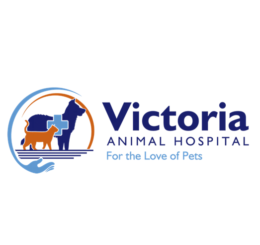 Pet Wellness Exams Riverside CA: A Smart Approach to Preventive Pet Care