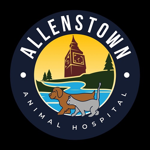 Navigating Emergency Situations with an Urgent Care Vet Allenstown NH Pet Owners Trust