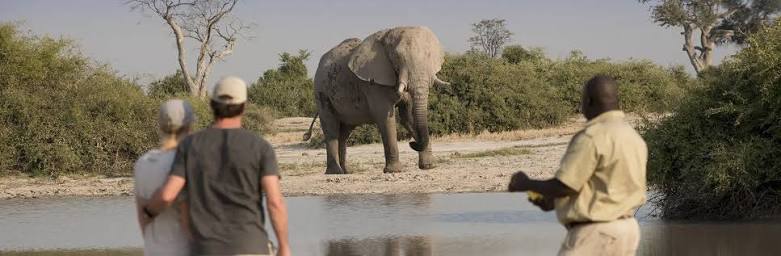 Tanzania Safaris: A Complete Guide to Planning Your First African Safari