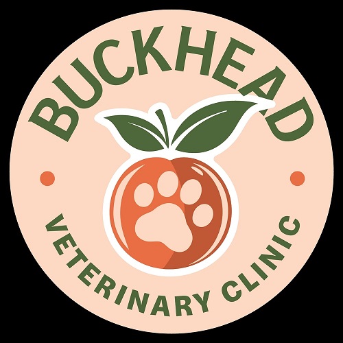 Animal Hospital Buckhead GA: Comprehensive Care for Your Beloved Pet
