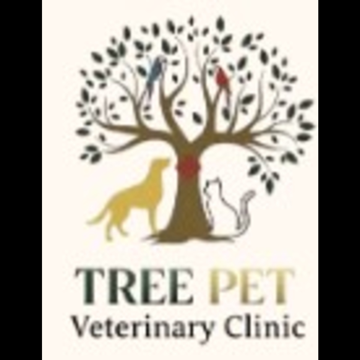 How to Keep Your Pet Comfortable and Healthy in Sharjah: Veterinary Care & Boarding Tips