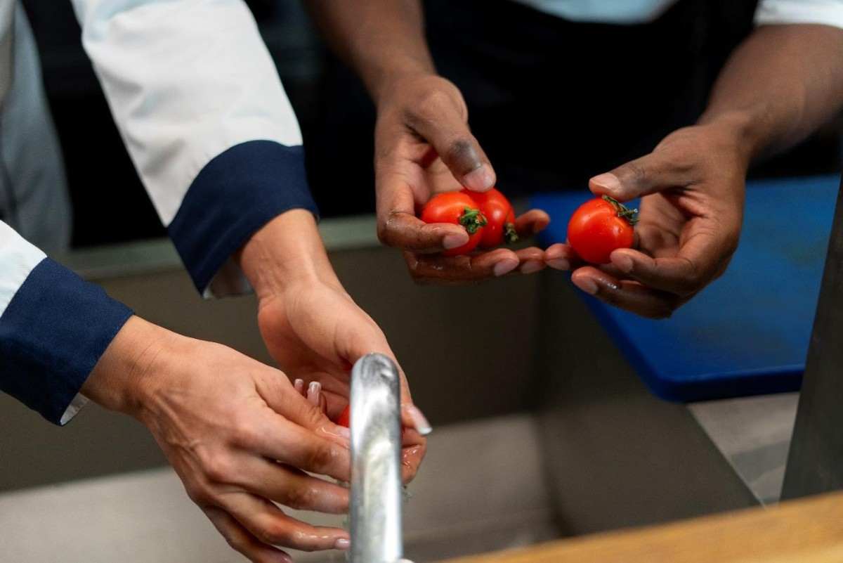How HACCP Certification Helps Food Businesses Meet Safety Requirements