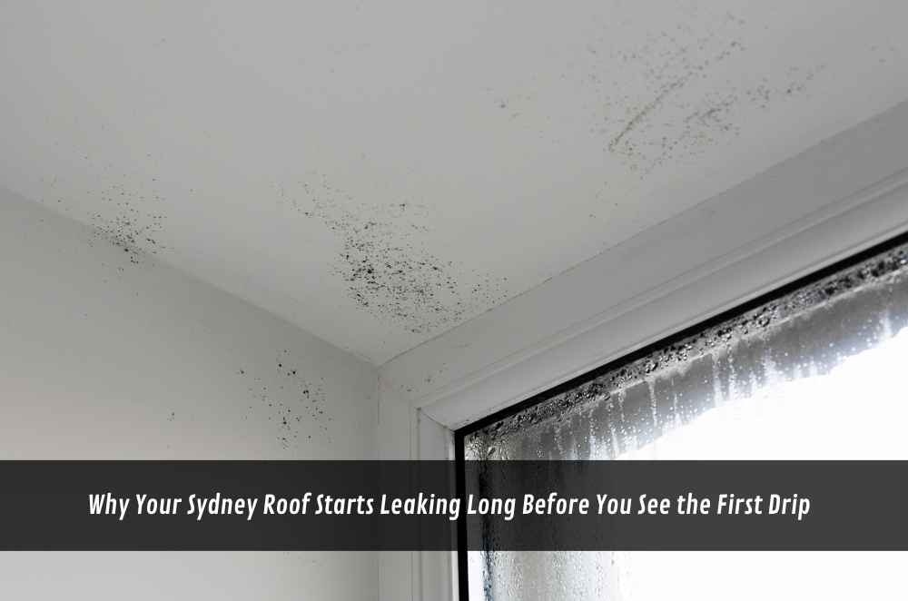 Why Your Sydney Roof Starts Leaking Long Before You See the First Drip