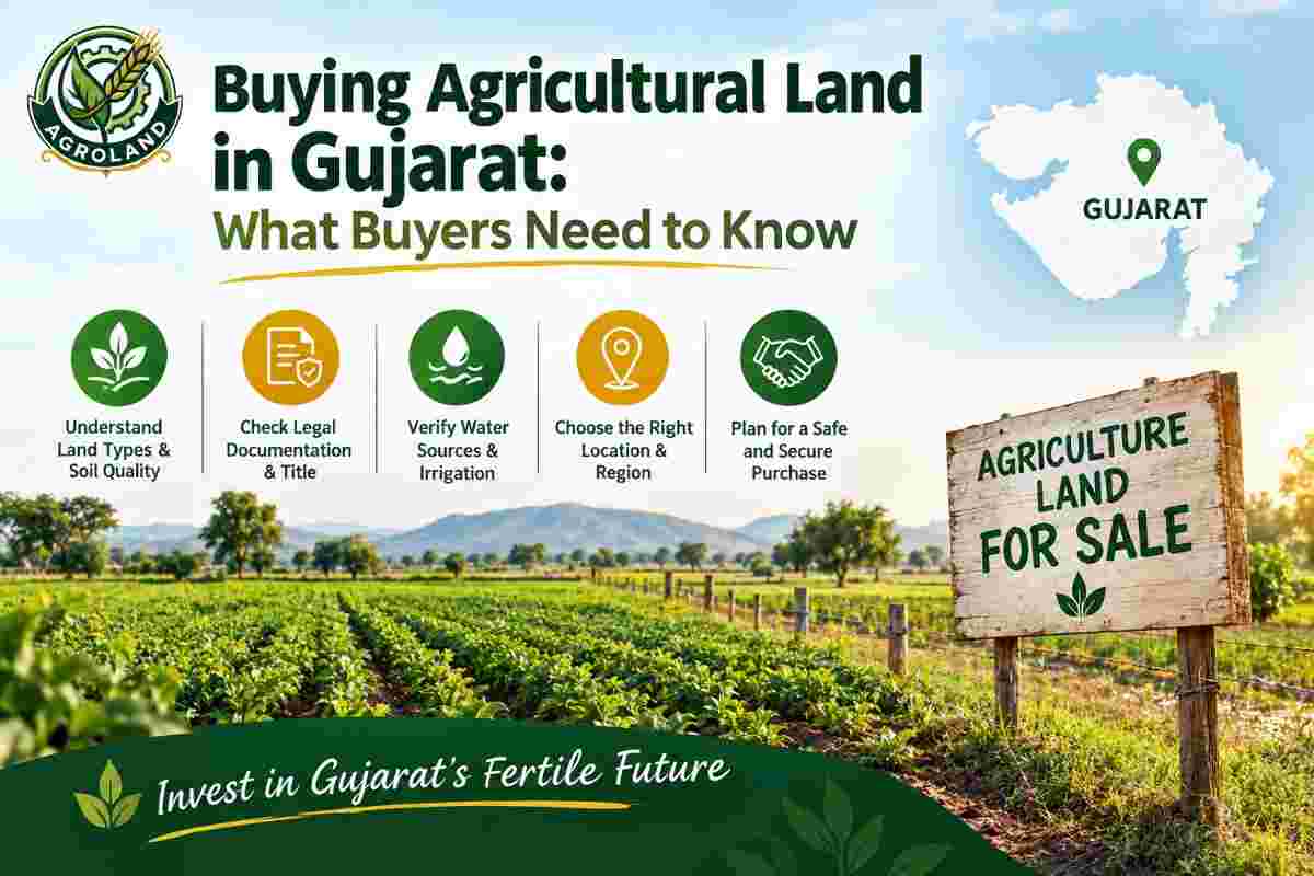 Buying Agricultural Land in Gujarat: What Buyers Need to Know