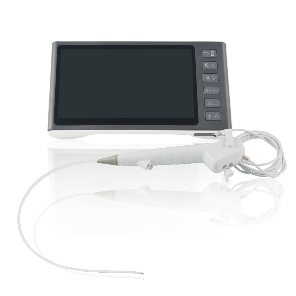 Disposable Endoscopes Market Accelerators Strengthen Adoption, Innovation, Clinical Efficiency, and Healthcare Delivery