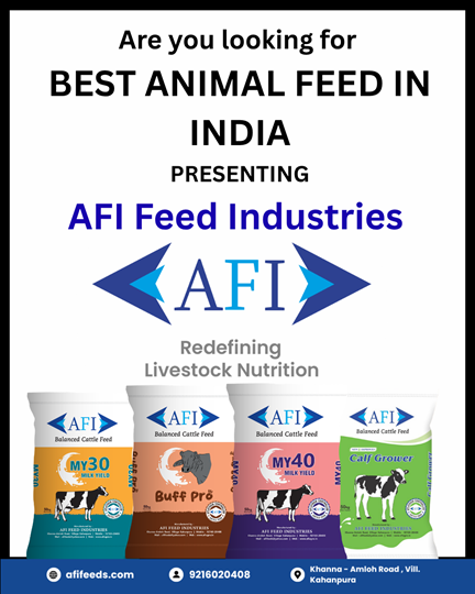 Best Animal Feed in India: Supporting Better Animal Nutrition with AFI Feed Industries