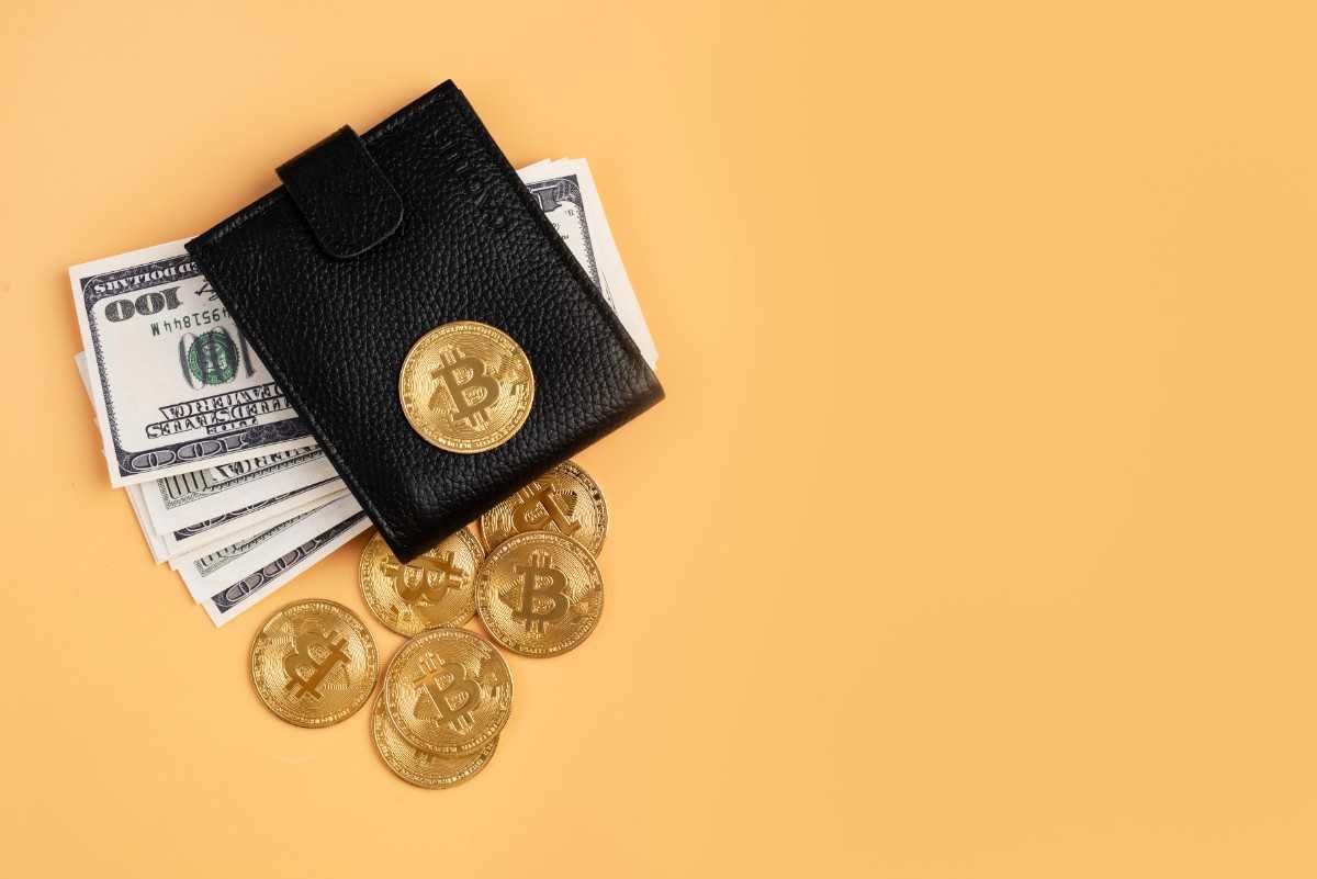 Crypto Wallet Development Company: Complete Guide to Crypto Wallet Development Services